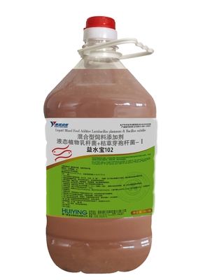 Probiotyki akwakultury, dodatek paszowy dla zwierząt Lactobacillus Plantarum Bacillus Subtilis Regulujący jakość wody Glony P